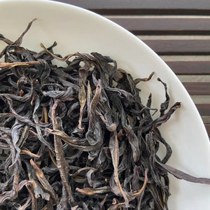 2024 Early Spring FengHuang DanCong "Lao Cong - Mi Lan Xiang" (Old Tree- Honey Orchid Fragrance) A+++ Grade, Heavy Roasted Oolong, Loose Leaf Tea, Chaozhou