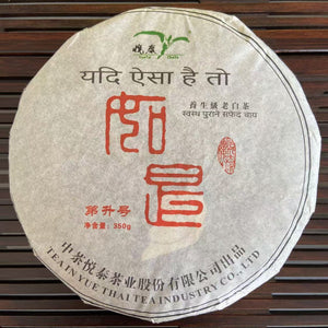 2017 YueTai "Lao Bai Cha - Shou Mei" (Old White Tea - Shoumei ) Cake 350g Fuding BaiCha, Fujian Province.