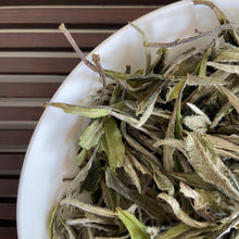 Load image into Gallery viewer, The 2025 Spring &quot;Bai Mu Dan - 1 Ji&quot; (Baimudan - 1st Grade) A++++ is an exemplary loose leaf white tea, sourced from the celebrated tea-growing region of Fuding, Fujian Province. This tea represents the pinnacle of quality with its A++++ grade, ensuring that only the finest, most carefully harvested leaves are selected.


Crafted from the early spring harvest of 2025, this Bai Mu Dan or White Peony tea is made from the tender buds and top leaves, which are picked when their flavor and aroma are at their peak