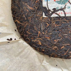 2011 FuJin "Qiu Cha Qing Bing" (Autumn Green Cake) 357g Puerh Sheng Cha Raw Tea