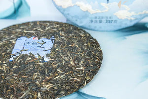 2024 DaYi "Feng Lan Yun Hua" (High Mountain Mist Great Tea) Cake 357g Puerh Sheng Cha Raw Tea