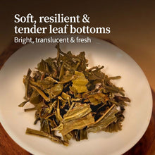 Laden Sie das Bild in den Galerie-Viewer, CNNP-Butterfly Brand "Mo Li Hua Cha - Te Ji" (Jasmine Flower Tea - Special Grade) Scented Green Tea (Baked Green Tea Base)