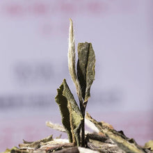 Laden Sie das Bild in den Galerie-Viewer, CNNP-Butterfly Brand "Bai Mu Dan - 1 Ji" (Baimudan - 1st Grade) Loose Leaf White Tea Fujian Province