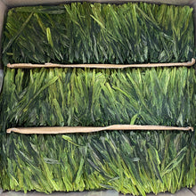 Charger l&#39;image dans la galerie, 2023 Early Spring &quot;Tai Ping Hou Kui&quot; (Taiping Houkui / Kowkui) A+++ Grade, Green Tea, Lv Cha, AnHui Province.