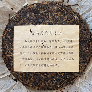 2005 ChunCheng "Yi Wu Chun Jian" (Yiwu Spring Bud) Cake 400g Puerh Raw Tea Sheng Cha