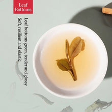 Laden Sie das Bild in den Galerie-Viewer, CNNP-Butterfly Brand "Bai Mu Dan - 1 Ji" (Baimudan - 1st Grade) Loose Leaf White Tea Fujian Province