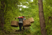 Load image into Gallery viewer, 2025 Spring Oolong Rou Gui - Ma Tou Yan (RouGui - MaTouYan • Ma Rou / Core Cliff - photo 10