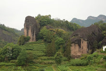 Load image into Gallery viewer, 2025 Spring Oolong Rou Gui - Ma Tou Yan (RouGui - MaTouYan • Ma Rou / Core Cliff - photo 13
