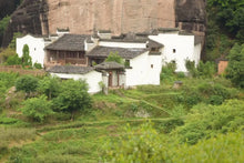 Load image into Gallery viewer, 2025 Spring Oolong Rou Gui - Ma Tou Yan (RouGui - MaTouYan • Ma Rou / Core Cliff - photo 14