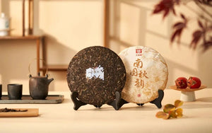 2022 DaYi "Nan Guo Qiu Yun" (Southern Autumn Charm) Cake 357g Puerh Sheng Cha Raw Tea