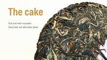 Laden Sie das Bild in den Galerie-Viewer, 2026 DaYi "Mei Gui Da Yi" (Rose Dayi/ TAE) 357g Cake, 1st Batch, Puerh Sheng Cha Raw Tea