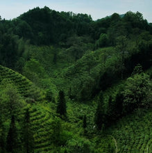 Load image into Gallery viewer, Redsunion Black Tea "Qi Men - Gao Xiang - Ying Xiong Cha - Te Ji" (Keemon - High Aroma- Hero Tea - Special Grade) Loose Leaf 168g/Tin, Hong Cha, Anhui - King Tea Mall - photo 2
