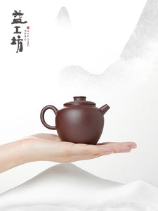 Dayi "Ju Lun Zhu" Half-Handmade Yixing Teapot in Zi Ni Clay