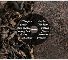 Load image into Gallery viewer, 2017, 2019, 2021 BaiShaXi &quot;Tian Fu Cha&quot; (Golden Flower Tianjian Fucha) Brick 1000g Fu Tea. Dark Tea