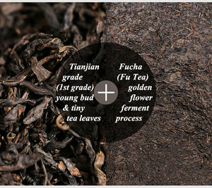 2019, 2021 BaiShaXi "Tian Fu Cha" (Golden Flower Tianjian Fucha) Brick 1000g Fu Tea. Dark Tea