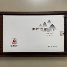 Load image into Gallery viewer, 2018 JingWei Fu Tea &quot;Qin Ling Zhi Dian&quot; (The Top of Qingling Mountains) Brick 850g Dark Tea, Fu Cha, ShaanXi