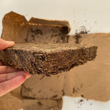 將圖片載入圖庫檢視器 1998 CNNP - XiangYi Te Zhi - Fu Zhuan (Special - Fu Brick) 800g Tea, Dark Tea, H - photo 10
