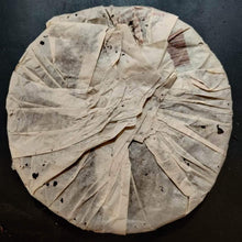 Load image into Gallery viewer, 2005 ChangTai Jin Zhu Shan - Ye Sheng - Qian Jia Feng (Jinzhushan Mountain - Wil - photo 2