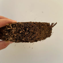 Load image into Gallery viewer, 2006 CNNP - LinXiang Fu Zhuan (Fu Brick) 300g Tea, Dark Tea, Fu Cha, Hunan Provi - photo 7