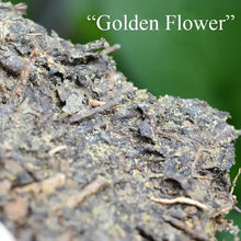 Load image into Gallery viewer, 2008 XiangYi FuCha "Huang Jin Shui Zhi Lian" (Love of Gold Water) Brick 400g Dark Tea Hunan - King Tea Mall