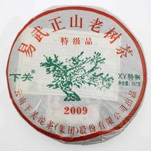 Load image into Gallery viewer, 2009 XiaGuan "Yi Wu Zheng Shan" (Yiwu Right Mountain) Cake 357g Puerh Raw Tea Sheng Cha - King Tea Mall