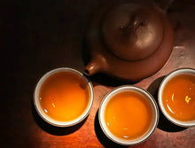 Load image into Gallery viewer, 2013 XiangYi FuCha "Tian He" Brick 380g Dark Tea Hunan - King Tea Mall