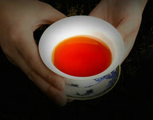 Load image into Gallery viewer, 2012 XiangYi FuCha "Bai Xing" (People) Brick 380g Dark Tea Hunan - King Tea Mall