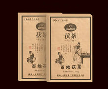 Load image into Gallery viewer, 2012 XiangYi FuCha "Bai Xing" (People) Brick 380g Dark Tea Hunan - King Tea Mall