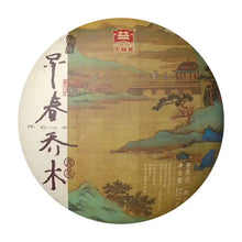 Load image into Gallery viewer, 2018 DaYi "Zao Chun Qiao Mu" (Early Spring Arbor) Cake 357g Puerh Shou Cha Ripe Tea - King Tea Mall