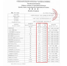 Load image into Gallery viewer, 2019 XiaGuan Xiao Fa Tuo (Xiaofa 55's Sino-France Commemoration) 100g Puerh Ripe - photo 6