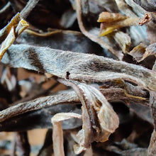 將圖片載入圖庫檢視器 2020 KingTeaMall Autumn Meng Ku Flavor Loose Leaf Puerh Raw Tea Sheng Cha - photo 6