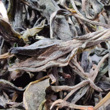 Load image into Gallery viewer, 2020 KingTeaMall Spring Bang Dong Gu Shu (Bangdong Old Tree) Loose Leaf Puerh Ra