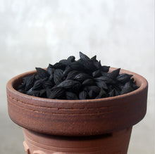 將圖片載入圖庫檢視器 Olive / Black Olive / Longan /Walnut Shell Charcoal for Heating Water, Chaozhou GongfuTea Tools, 500g/bag