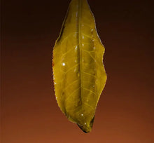 Load image into Gallery viewer, 2021 ChenShengHao Lao Ban Zhang (LaoBanZhang) Brick 200g Puerh Raw Tea Sheng Cha - photo 5