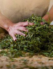 Load image into Gallery viewer, 2021 DaYi Wu Zi Deng Ke ( Fivefold Success ) Cake 150g*5pcs Puerh Shou Cha Ripe  - photo 5
