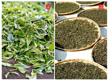 Carica l'immagine nel visualizzatore di Gallery, yunnan china tea chinese tea gongfucha pu-erh puer pu'erh  2021 XiaGuan "Dan Ba Ge Lie - Bu Lang Gu Shu" (Bulang Old Tree) Mushroom Tuo 250g Puerh Sheng Cha Raw Tea