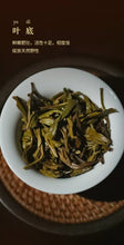 Charger l'image dans la galerie, 10005 - King Tea Mall