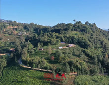 Load image into Gallery viewer, 2022 MengKu RongShi "Da Xue Shan" (Big Snow Mountain) 200g Puerh Raw Tea Sheng Cha - King Tea Mall - photo 6