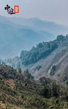 Load image into Gallery viewer, 2022 Xiaguan Nan Po - Gu Shu - Bing Dao (Nanpo - Old Tree - Bingdao) Cake 357g P - photo 13