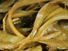 Load image into Gallery viewer, 2022 XiaGuan Te Tuo (Special Tuo) 100g*5=500g Puerh Raw Tea Sheng Cha - photo 6
