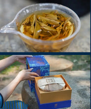 Cargar imagen en el visor de la galería, 2023 Xiaguan Da Xiang Ban Zhang - Gu Shu (Elephant - Banzhang - Old Tree) 357g P - photo 7