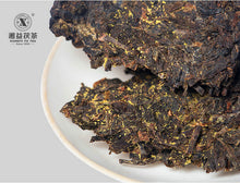 Cargar imagen en el visor de la galería, 2010 XiangYi FuCha &quot;Yi Pin&quot; (1st Grade) Brick 400g Dark Tea Hunan - King Tea Mall