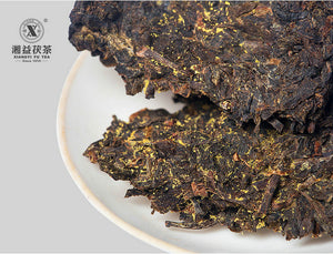 2010 XiangYi FuCha "Yi Pin" (1st Grade) Brick 400g Dark Tea Hunan - King Tea Mall