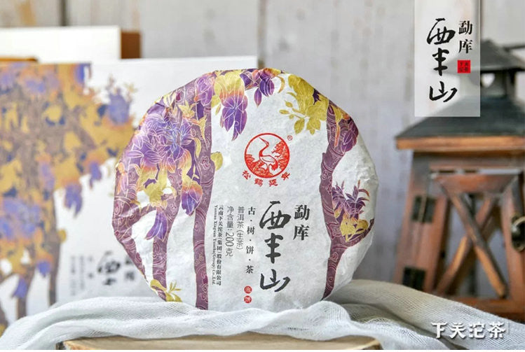 2019 XiaGuan