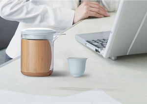 Portable Gongfu Tea Set for Travelling 2 Color Variations - King Tea Mall