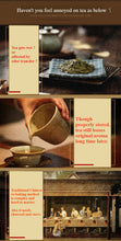 Load image into Gallery viewer, KAMJOVE Tea Baker for Baking Tea  (Voltage Transformer is Optional) - King Tea Mall