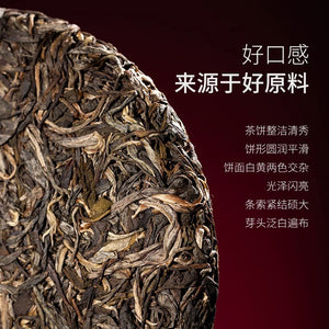 2022 ChenShengHao "Ba Wang Qing Bing" (King Green Cake) 357g Puerh Raw Tea Sheng Cha