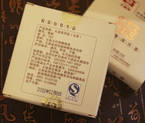 2011 DaYi "Xue Yun" (Snow Square Brick ) 100g Puerh Sheng Cha Raw Tea - King Tea Mall