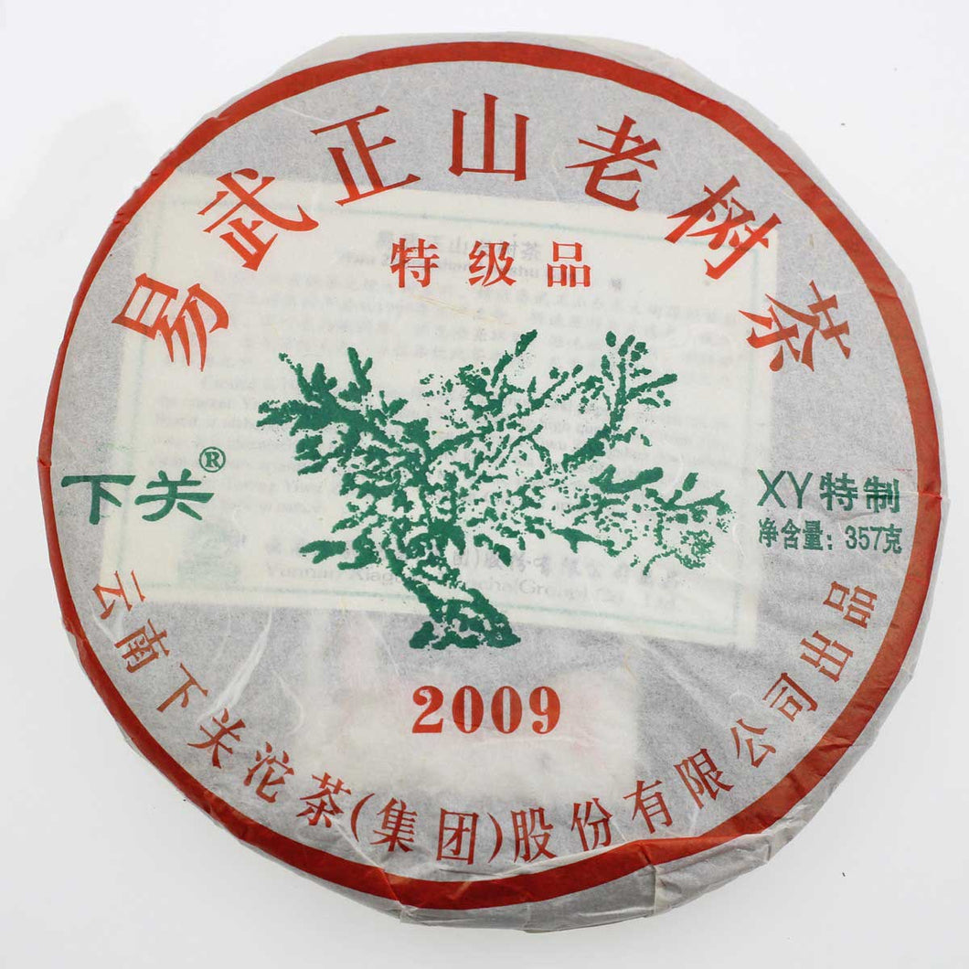 2009 XiaGuan 