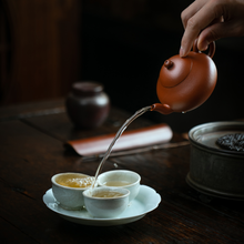 Carica l&#39;immagine nel visualizzatore di Gallery, Yixing &quot;Li Xing&quot; (Pear Style) Teapot in Zhao Zhuang Zhu Ni Clay
